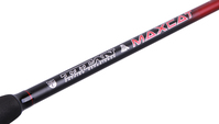 Pezon Mishel Prut Titan MaxCat 2.40m 300g