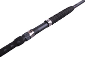 Pezon Mishel Prut Titan MaxCat 2.40m 300g