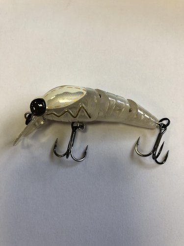 Savage Gear Wobler Larvae 55 5,5cm, 5g Slow Sink Bone White
