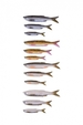 Savage Gear Gumová nástraha LB 3D Bleak Real Tail 5ks 10,5cm, 8g, Rudd Minnow