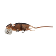 Savage Gear Wobler 3D RAD 30cm 90g Floating Brown