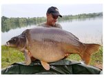 DB Robn Red 20/1,8kg