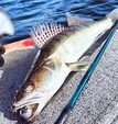 Zebco Jigová hlava Jig Head 3,5g, 4ks Size 2