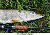 Splávek Mr. Pike Trolling