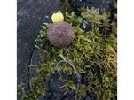 Avid Haček Armorok Hooks Wide Gape, 10ks Vl 2
