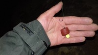 Coppens Pelety s dírou Red Halibut 20kg 14mm, 10kg