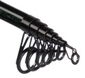 Mikado Prut Intro II Cork Power Tele Float 60g 3,30m