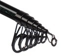 Mikado Prut Intro II Cork Power Telerod 120g 3,30m