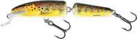 Salmo Wobler Floating Fanatic 7cm Trout