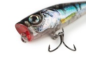 Salmo Wobler Floating Rattlin´Pop 7cm Clear Holo Smelt