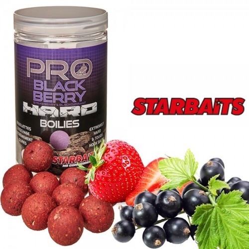 Starbaits Hard Boilies 24mm Black Berry