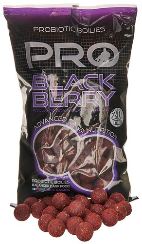 Starbaits Boilie Probiotic Black Berry 20mm, 800g