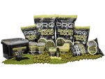 Starbaits Boilie Probiotic Ginger and Squid 20mm