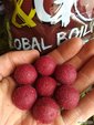 G&G GLOBAL BOILIES 10KG SCOPEX 20MM