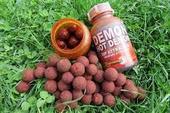 Starbaits Boilies Hot Demon 14mm