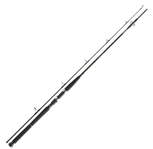 Daiwa Prut BG Boat 2,1m, 150-400g