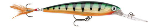 Rapala Wobler X-rap Deep 10cm XRD10 P