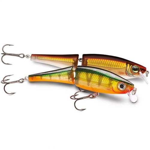 Rapala Wobler BX Swimmer 12cm BXS12 FT