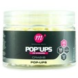 Mainline Mini Pop-Ups Hi-Visual 12mm, 150ml Crab IB