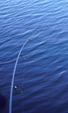 Strategy Prut ST-3 XS 3m, 2díly 3,00lb