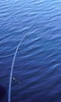 Strategy Prut ST-3 XS 3m, 2díly 3,00lb