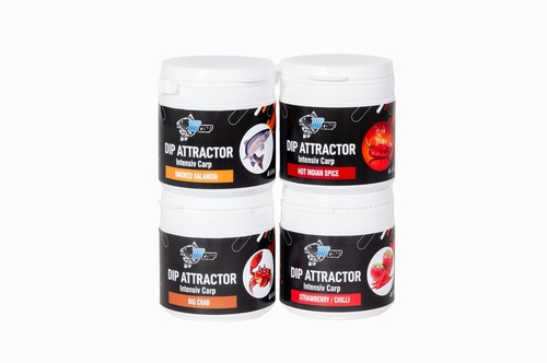 Top Carp Dip Attractor Intensiv Carp 120ml Hot Indian Spice
