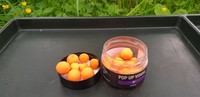 Top Carp Pop-Up Visual 15/20mm, 100ml WF
