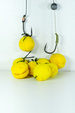 Top Carp Rohlíkové boilies 35g Kukuřice
