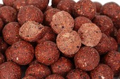 Top Carp Boilie Intensiv Carp Feed Smoked Salmon 20mm, 3kg