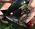 Large Spomb™ Large Black Spomb