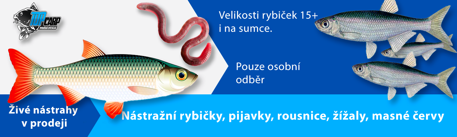 Živé nástrahy v prodeji